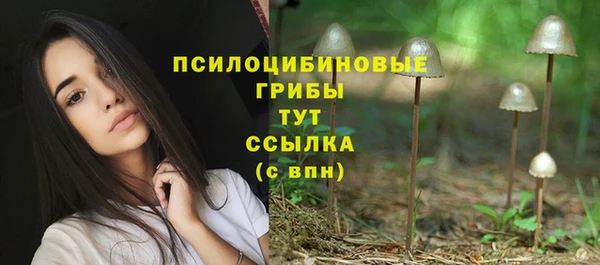 индика Армянск