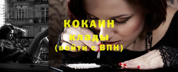 индика Армянск
