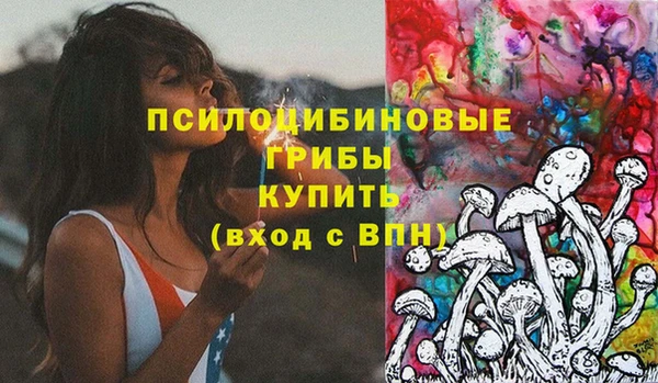 прущие крисы Арсеньев