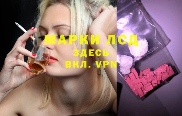 индика Армянск