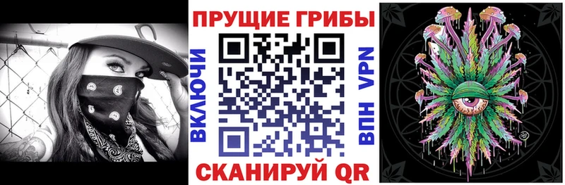 Псилоцибиновые грибы мухоморы  Теберда 